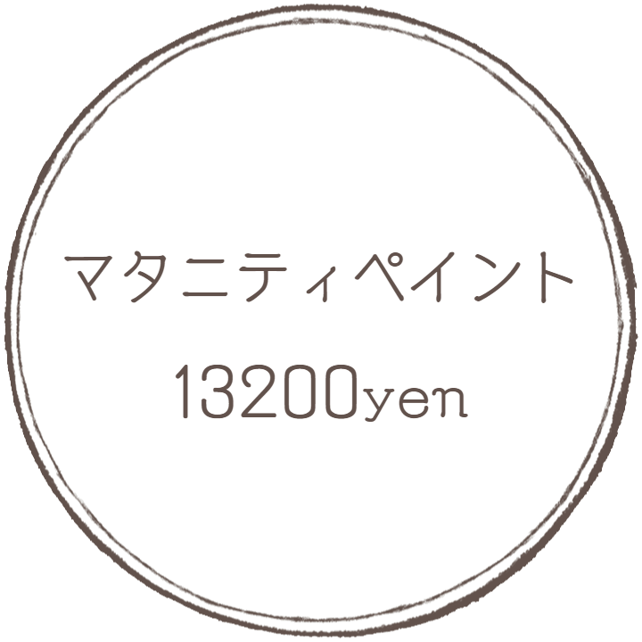 マタニティペイント：フォトグラフアメリ―撮影メニューオプション