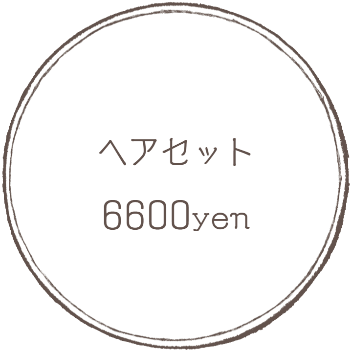 ヘアセット：フォトグラフアメリ―撮影メニューオプション